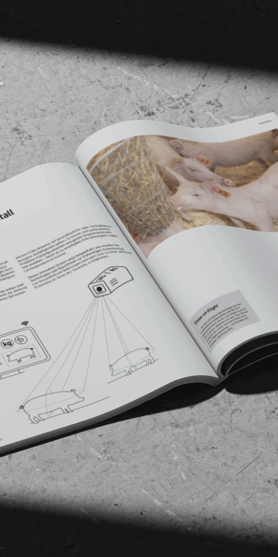annual report flat lay showing a spread with text, infographic and image