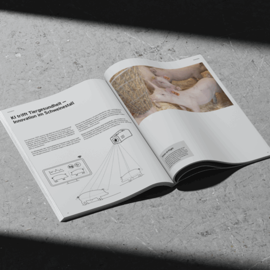 annual report flat lay showing a spread with text, infographic and image