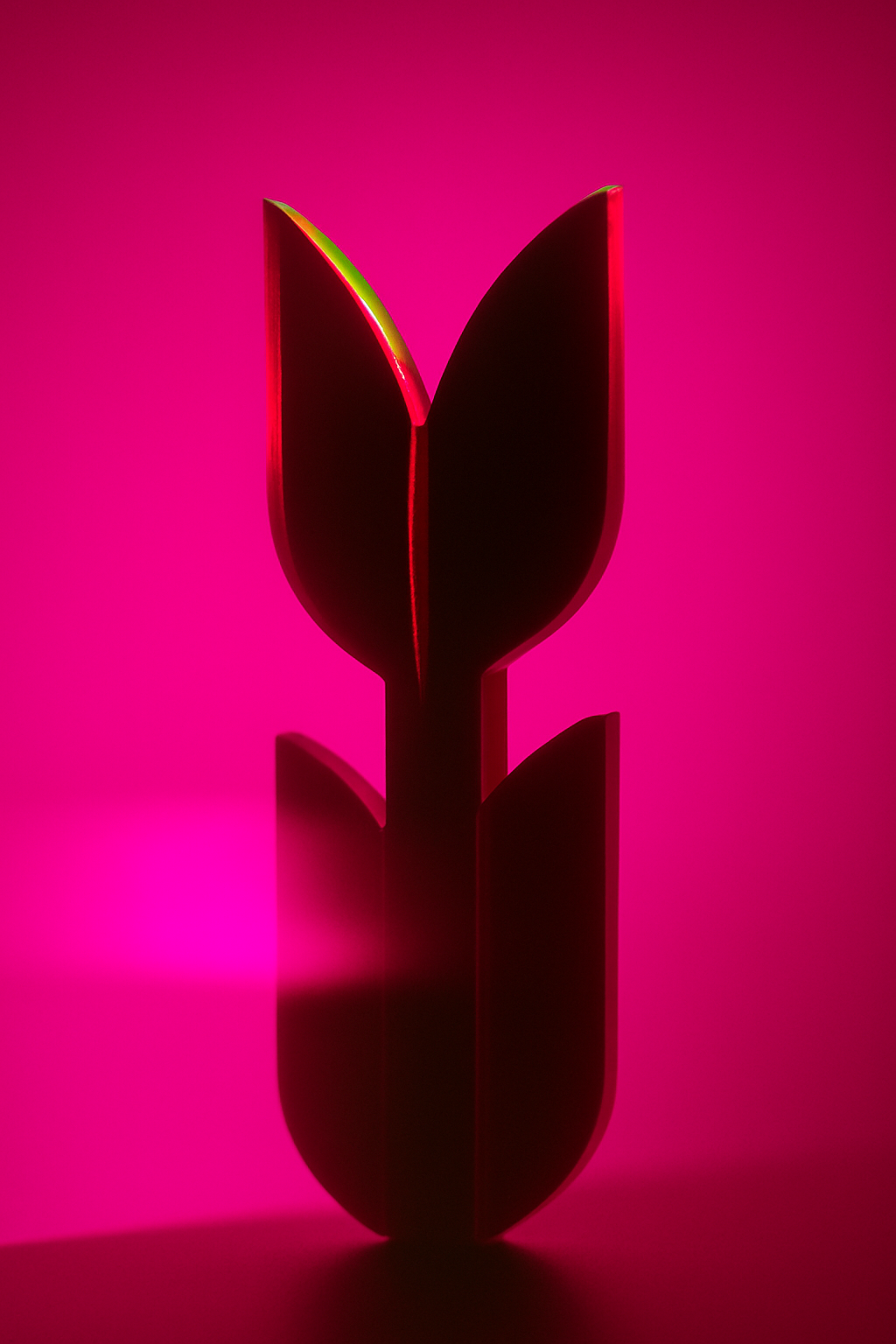 Flowerpop — pink – Bild 3