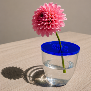 Plexipop Flowerdisc small
